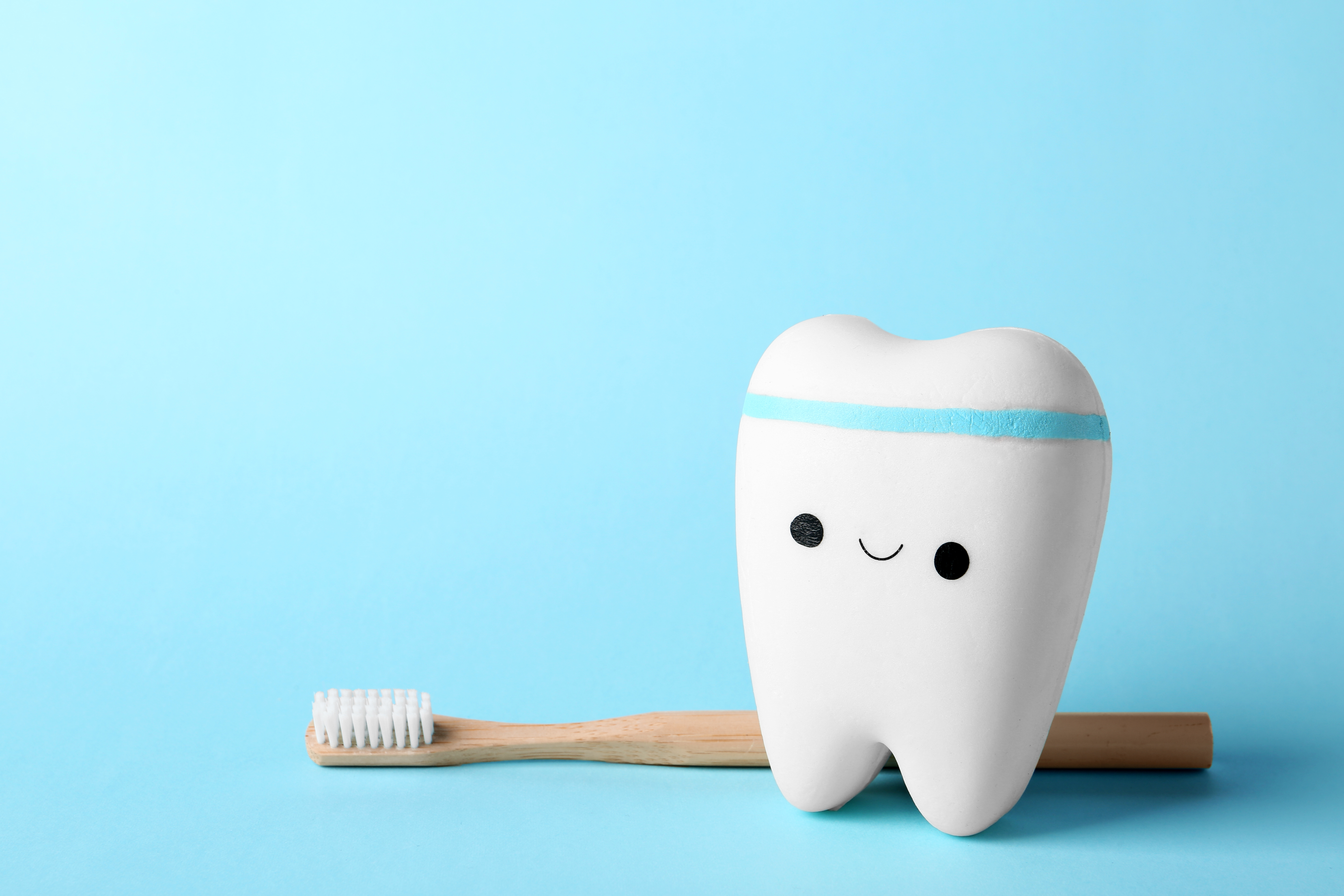 Smiling tooth model with toothbrush