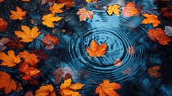 ai-generated-several-autumn-leaves-fall-on-the-water-surface-and-create-small-waves-photo.