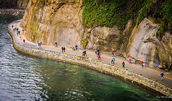 Vancouver Seawall.jpg