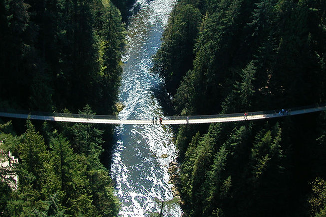 Capilano Suspention