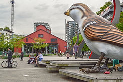 Vancouver+Olympic+Village.jpg