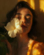 journey_of_senses.jpeg