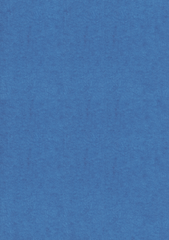 HGVO-_0021_Achtergrond-blauw.png