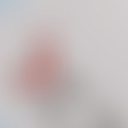 İstemek ya da İstememek, İşte Bütün Mesele Bu