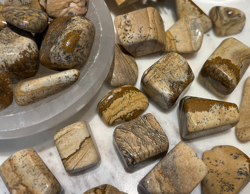 Picture Jasper Tumbled