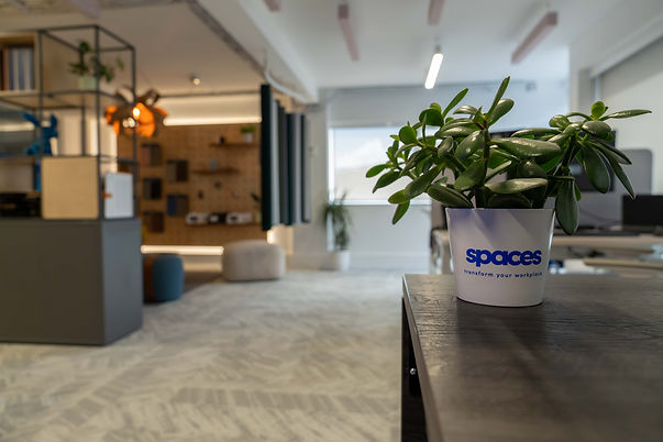 Spaces-193.jpg