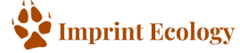 Imprint Ecology logo