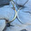 Thumbnail: Moon necklace- Gold or Silver