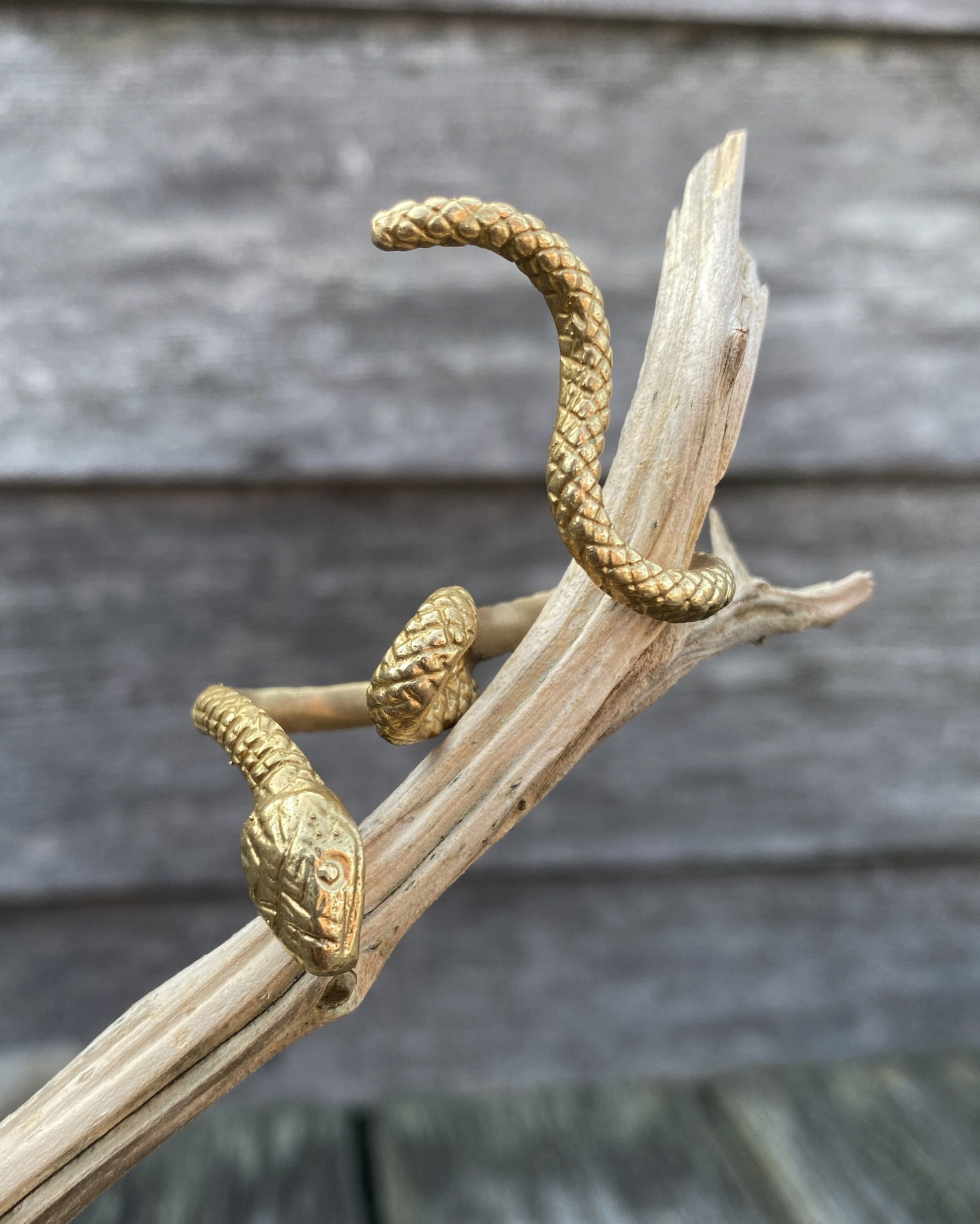 Snake 'Rebirth' Ring-Gold or Silver