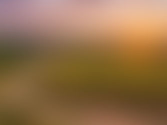 Entdecken Sie die Schönheit der Pfalz: Ihr perfekter Wochenendtrip