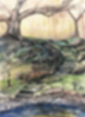 35BF3C5E-73A1-4BCE-B185-5D5D2011A400.jpeg