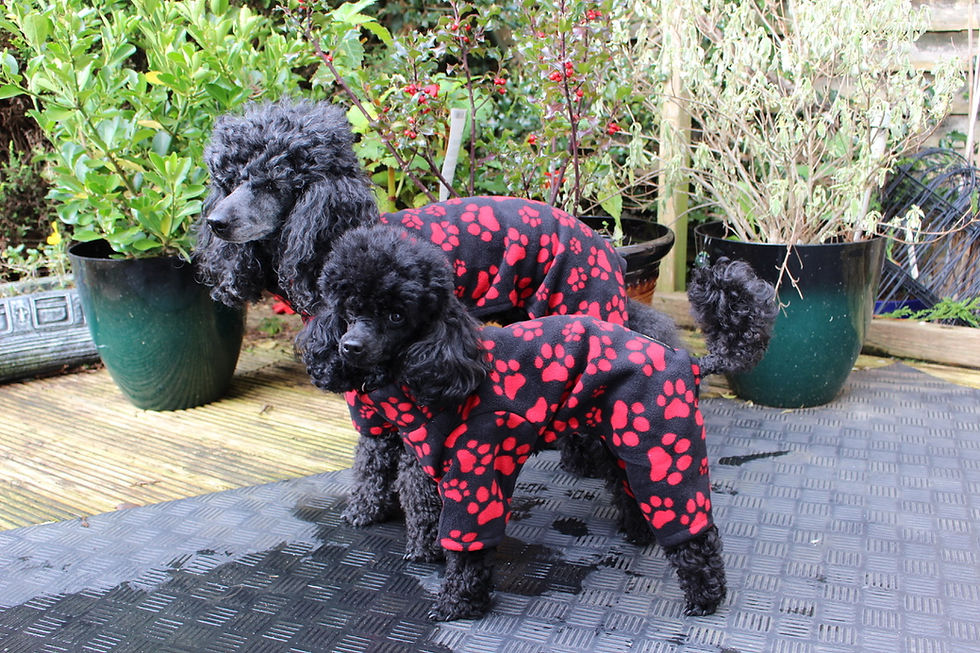 Thumbnail: Fleece Dog Pyjamas/ Onesie