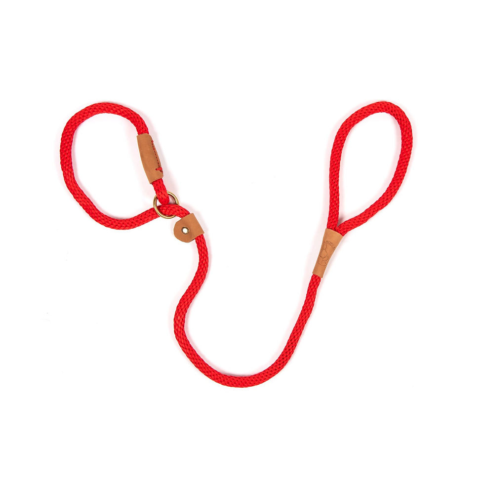 Thumbnail: Ruff & Tumble Slip or Clip Leads