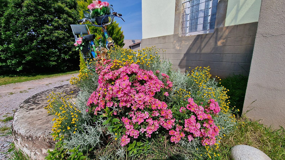 gite-de-la-marie-epinal-vosges-fleurs-1