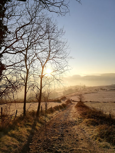 Chemin de vie