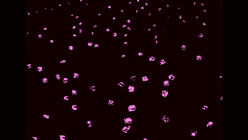 Air Midnight EP "Shine In The Night" Drops 03/12