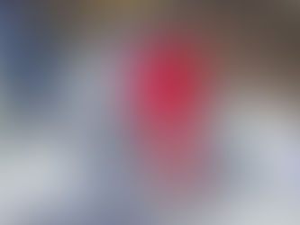 SPE Balkan Ski Congress: Warum internationale Fortbildung für Skilehrer so wichtig ist