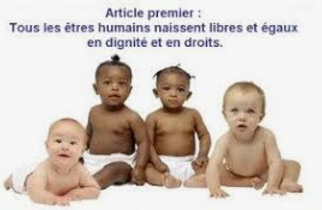 4 décembre 2024 - égalité des droits entre tous les enfants