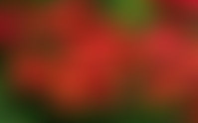 Review on Contemplation upon flowers.