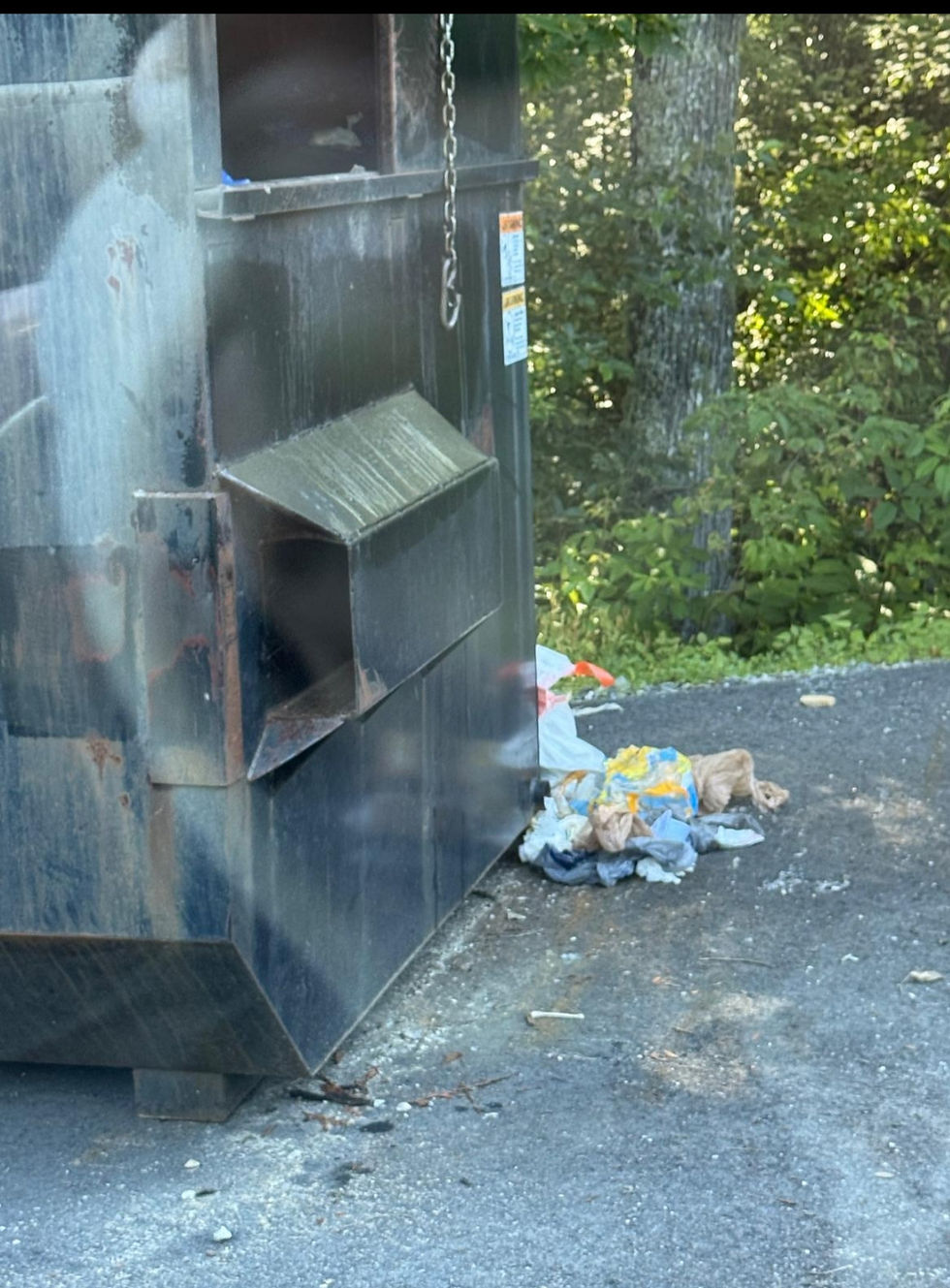 Dumpster door open in preparation to receive trash & syringe found on the ground