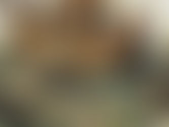 Dünya Kötüye Gidiyor (mu???)