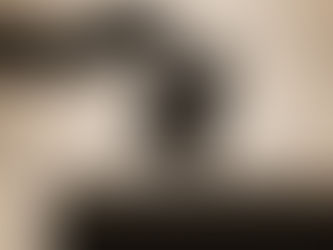 Referandumda İlkeler Birlikteliği