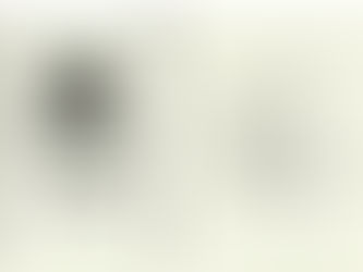 FETÖ’nün Yaradılışı