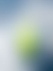 Decarbonising Flight: Why Sustainable Aviation Fuel Must Scale — and Fast