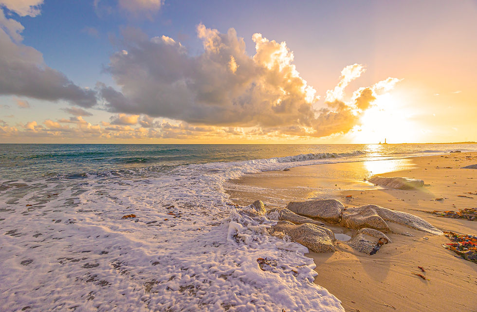 8C8A5044 copie 2.jpg