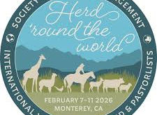 International Year of Rangelands and Pastoralists