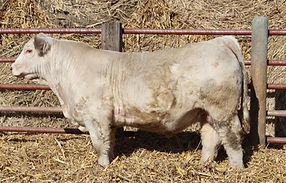 075_8451_edited.jpg