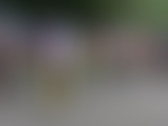 Race 21 Corley Cycles Abbeygate Races at MK Bowl