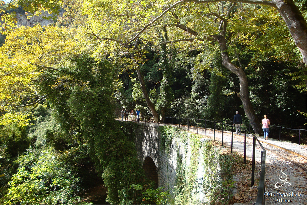 Okto Ashtanga Yoga Athens - Pelion retreat