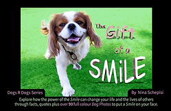 gift of a smile facebook cover.png