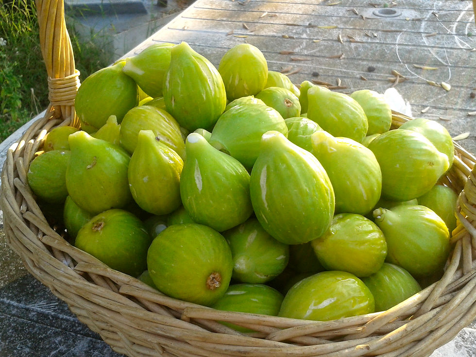 Ricetta fichi