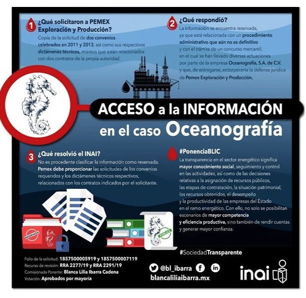 Infografía :: BLIC-INAI
