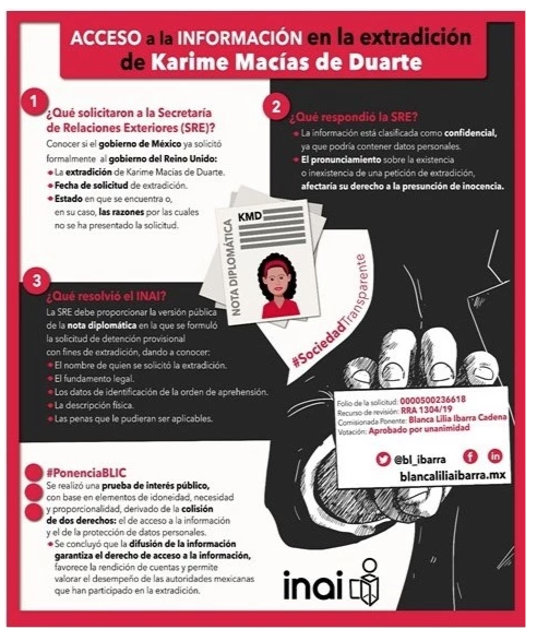 Infografía :: BLIC-INAI
