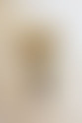 Royal Birmingham Society of Artist exhibition starts today!