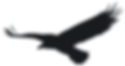 Black Flying Eagle Decoration