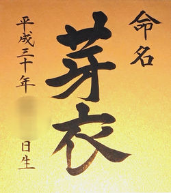色紙/命名書