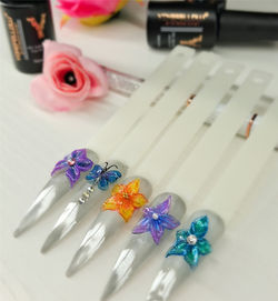 Ella D Nails Atherton 3D Nail Art
