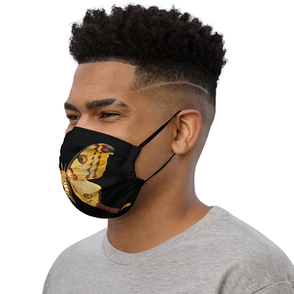Thumbnail: MOTH on BLACK Face Mask