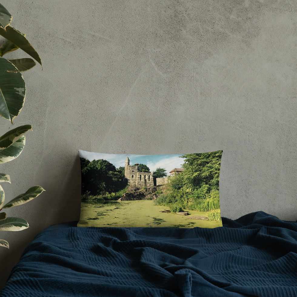 Thumbnail: BELVEDERE CASTLE OVER TURTLE POND