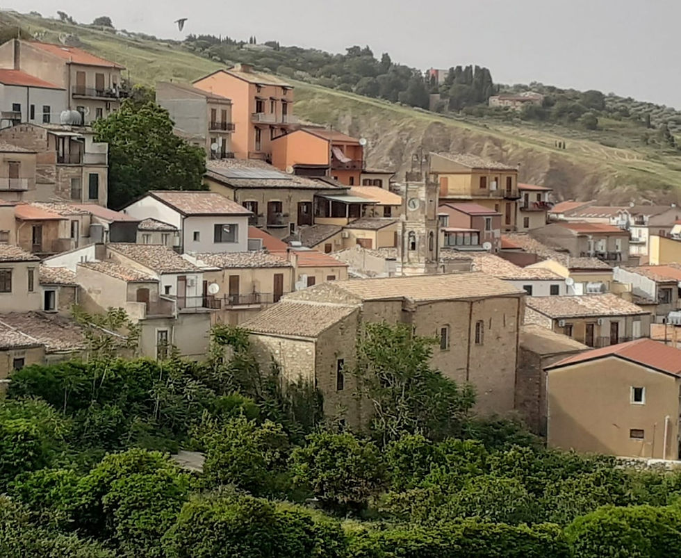 Progetto "il giardino ritrovato"