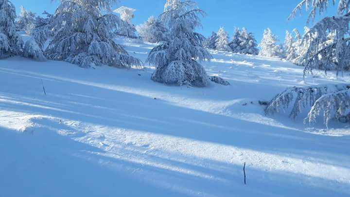 neve a cammarata