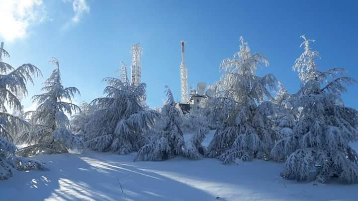 neve a cammarata