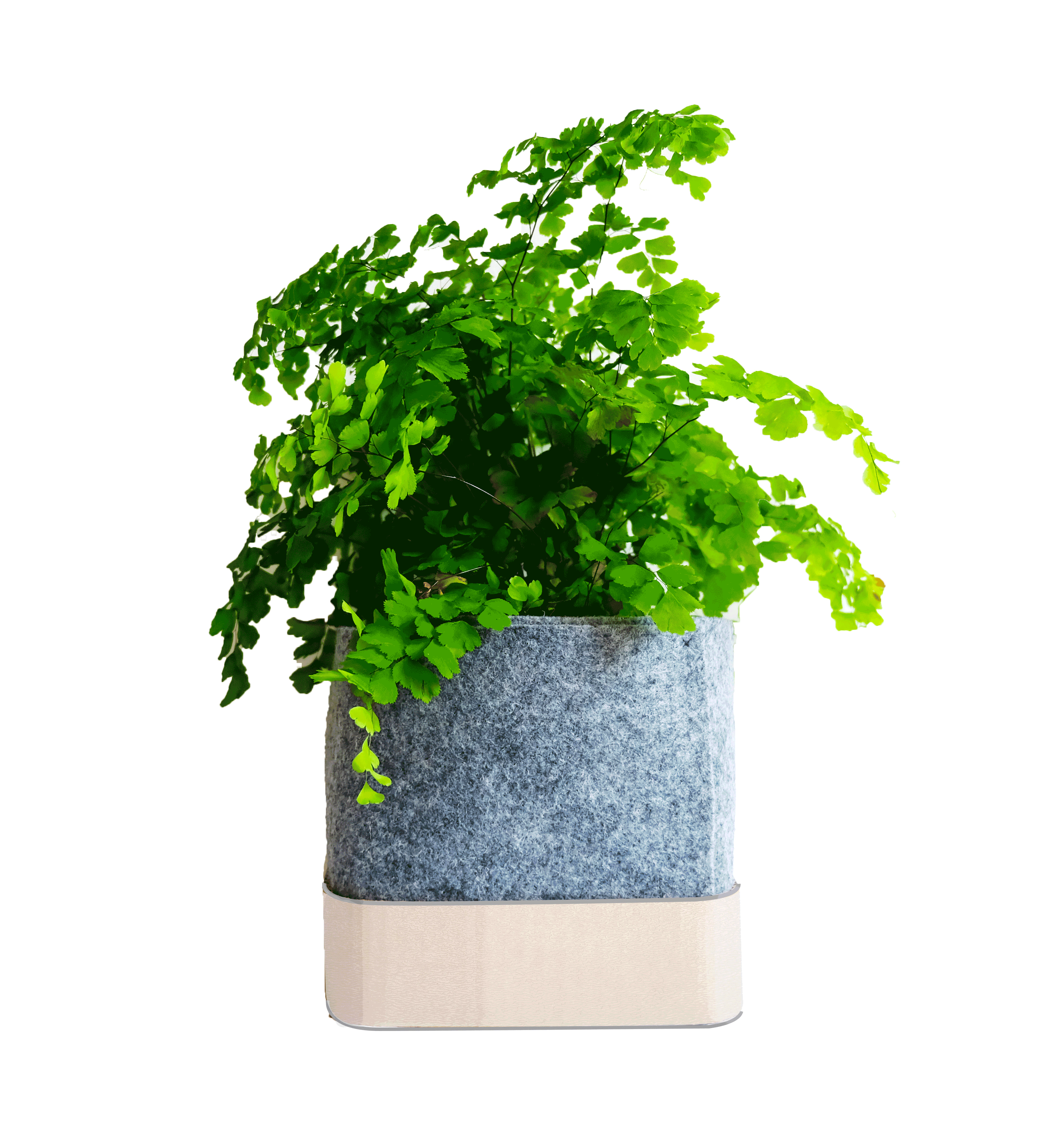 SMALL-POT-GIF2.gif