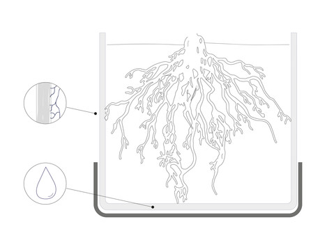 illustration2-01.jpg
