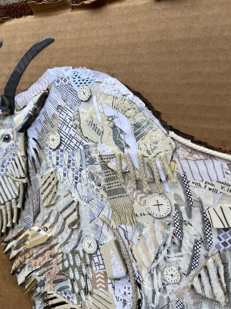 Mountain Goat (detail shot)