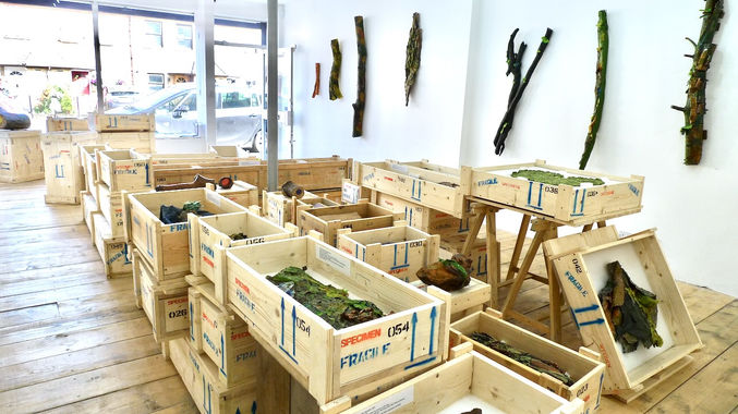 True Fictive Nature installed _ Tension 2021 (2).jpeg